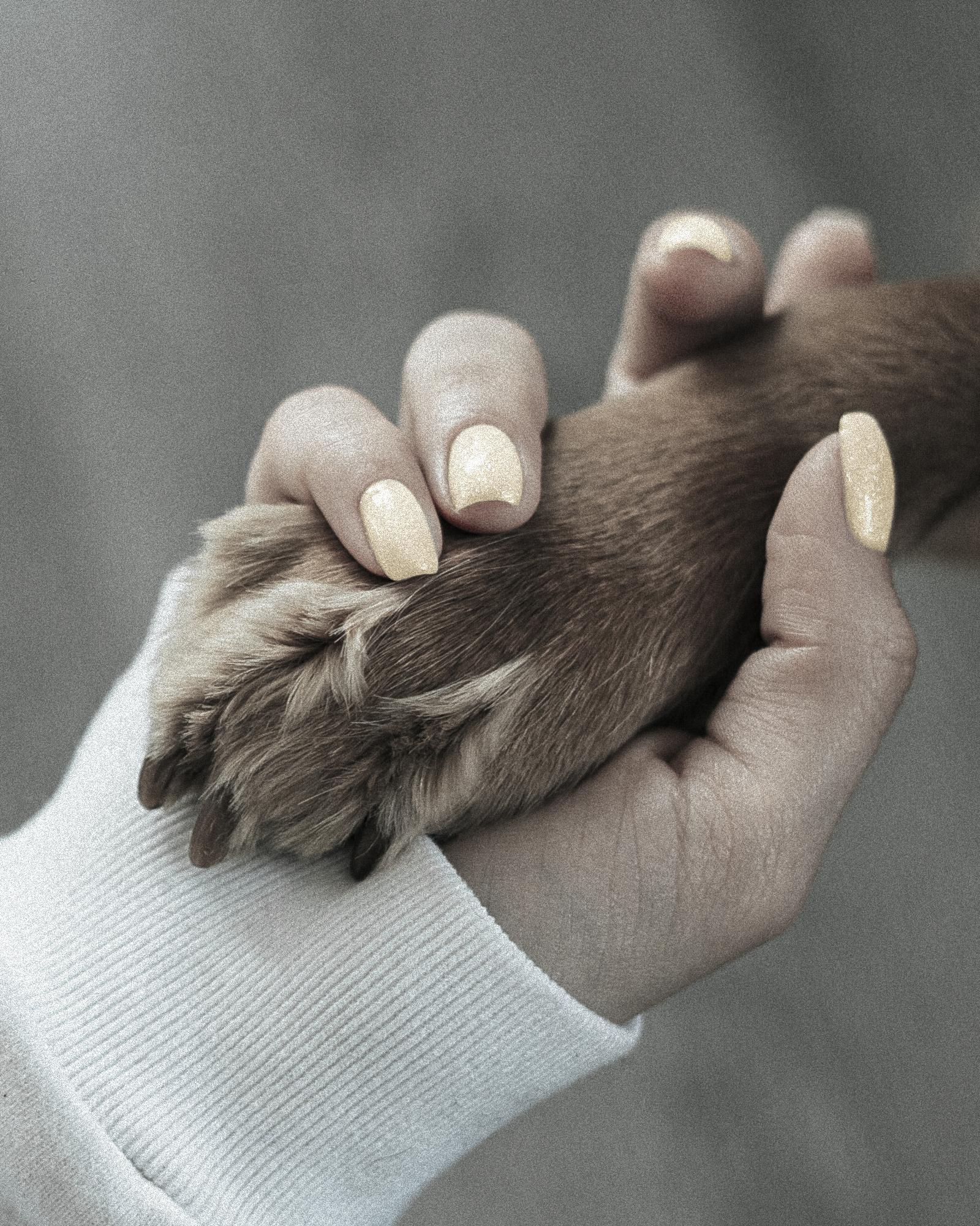 Tierschutz O Bon Savon